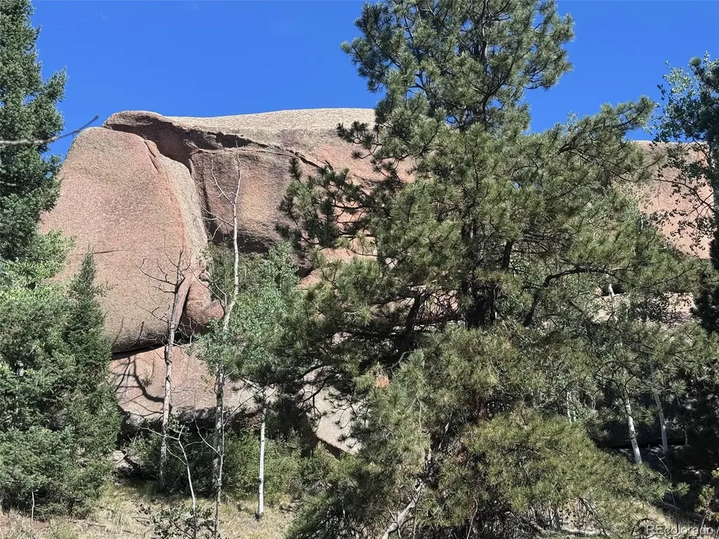 2356 N Mountain Estates Road Florissant CO 80816