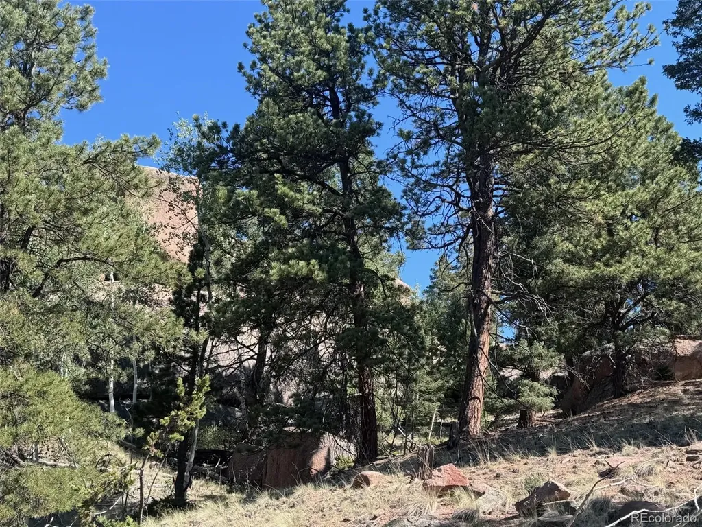 2356 N Mountain Estates Road Florissant CO 80816