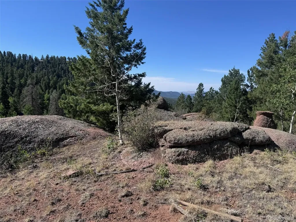 2356 N Mountain Estates Road Florissant CO 80816