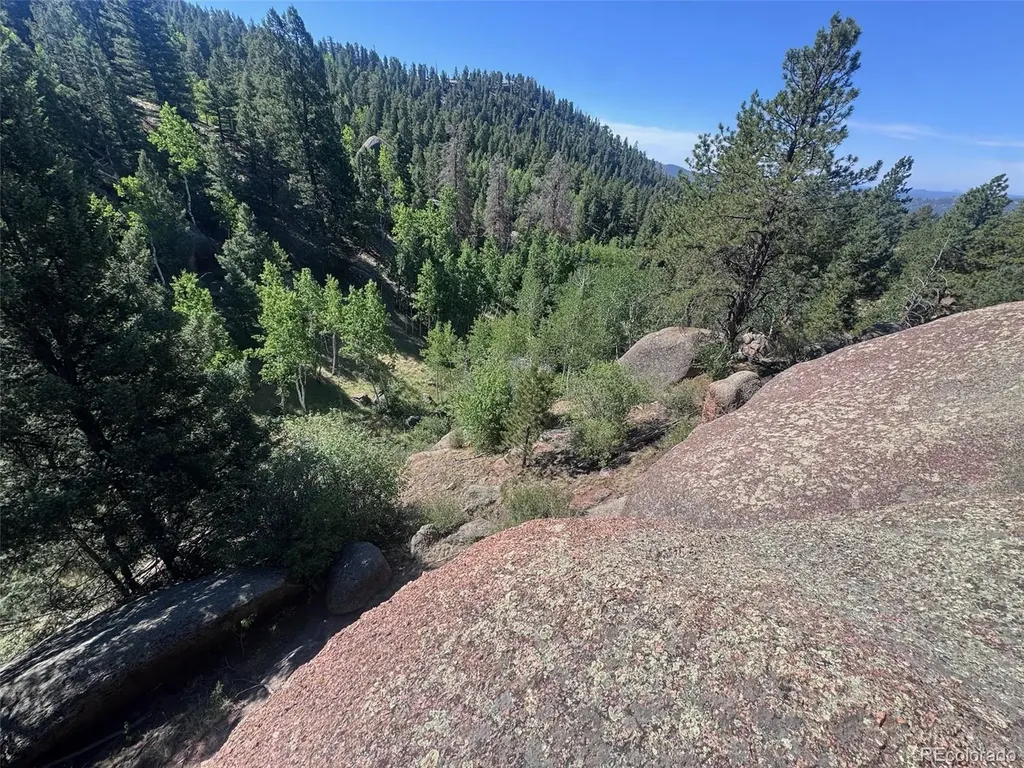 2356 N Mountain Estates Road Florissant CO 80816