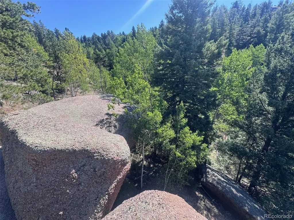 2356 N Mountain Estates Road Florissant CO 80816