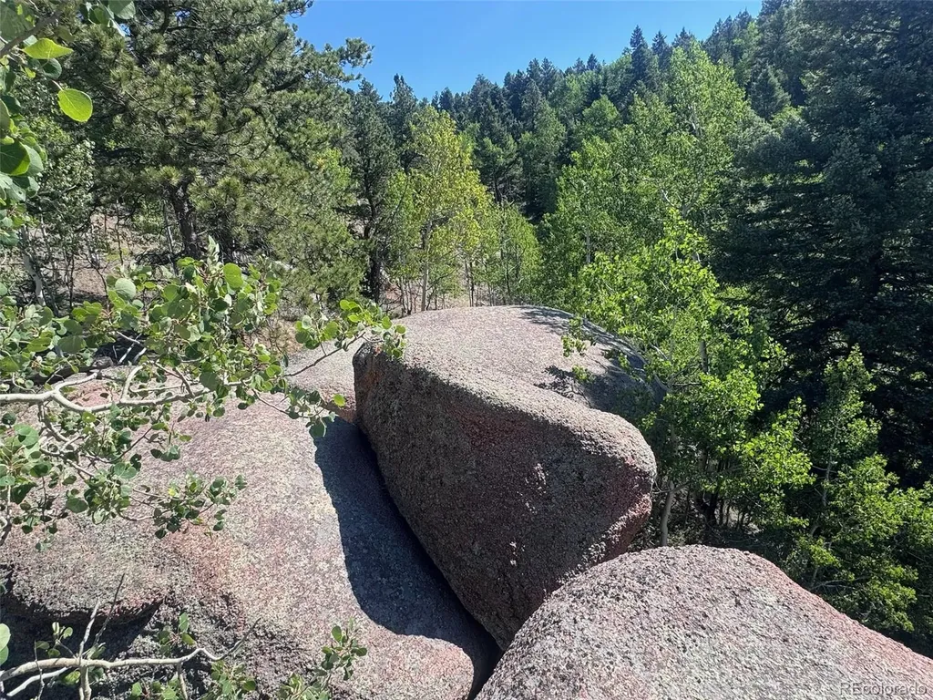 2356 N Mountain Estates Road Florissant CO 80816