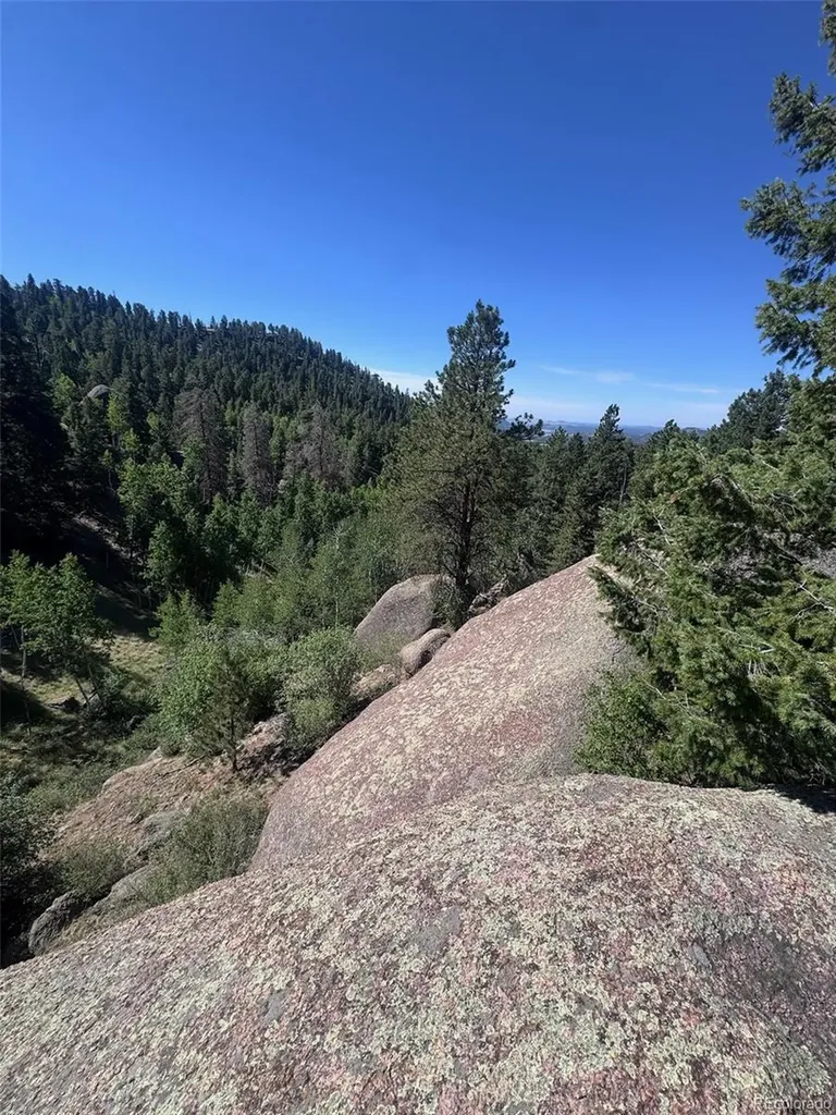 2356 N Mountain Estates Road Florissant CO 80816