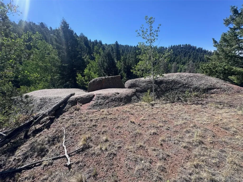2356 N Mountain Estates Road Florissant CO 80816