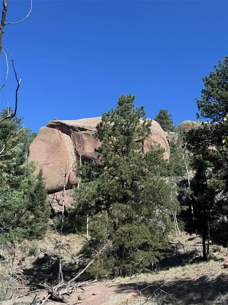 2356 N Mountain Estates Road Florissant CO 80816