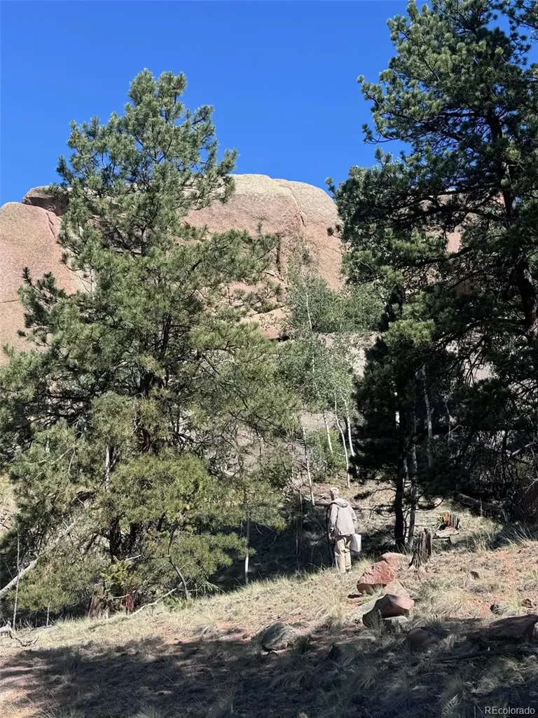 2356 N Mountain Estates Road Florissant CO 80816