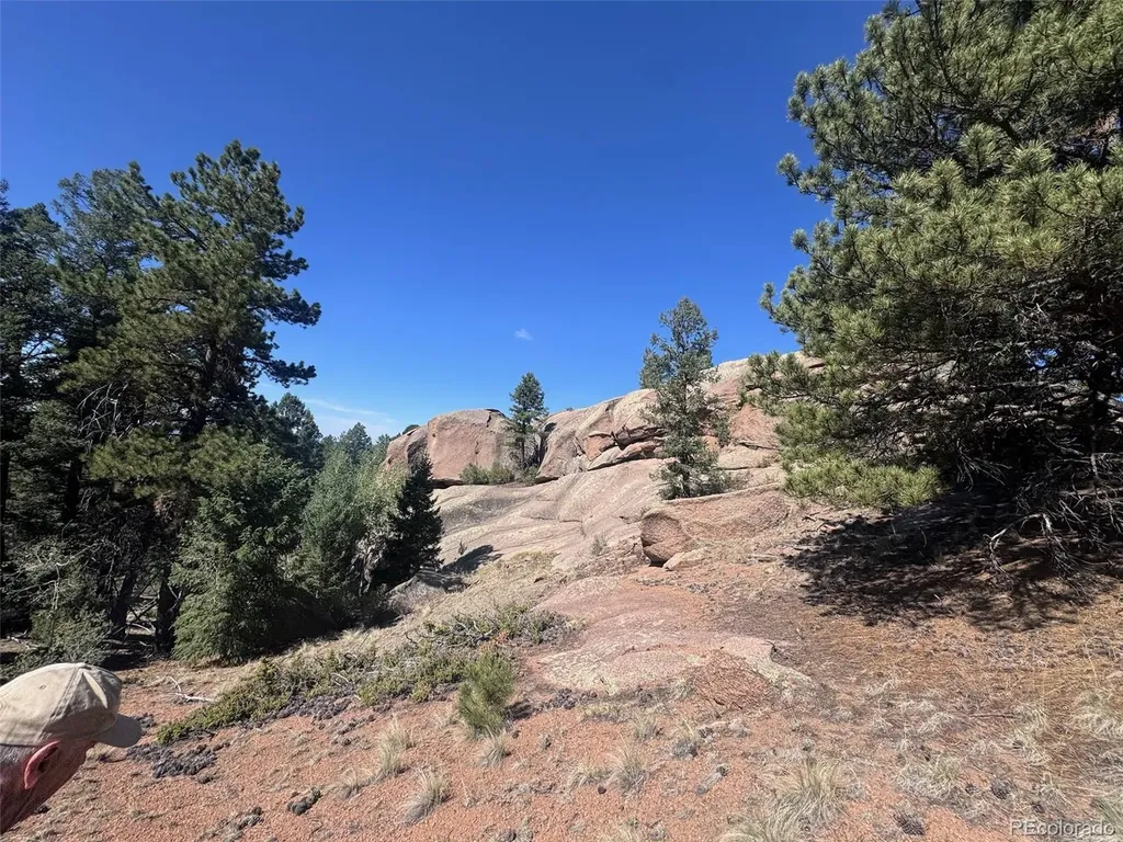 2356 N Mountain Estates Road Florissant CO 80816