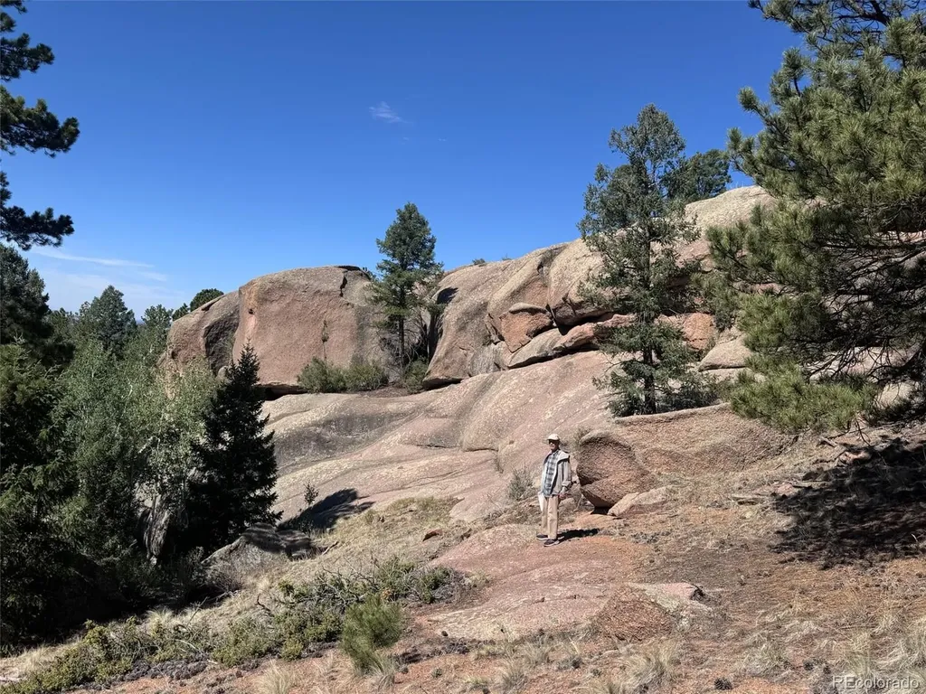 2356 N Mountain Estates Road Florissant CO 80816