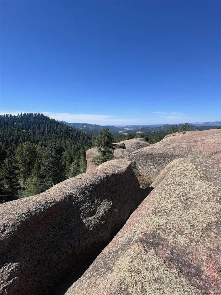 2356 N Mountain Estates Road Florissant CO 80816