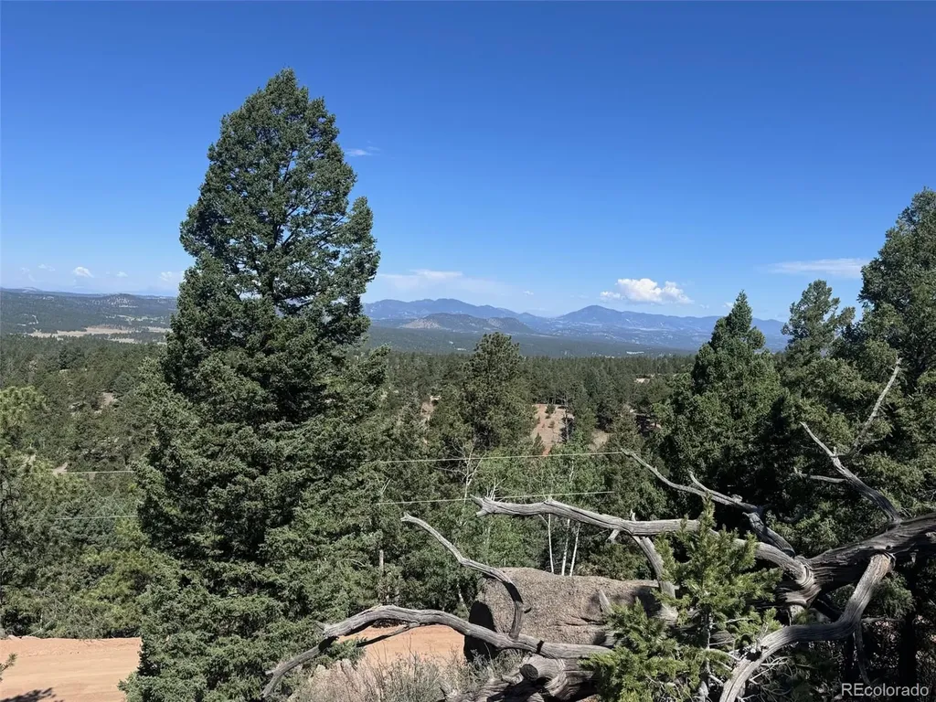 2356 N Mountain Estates Road Florissant CO 80816