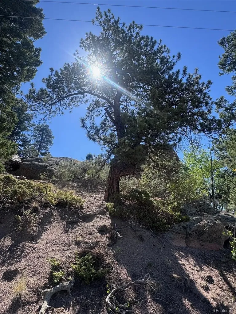 2356 N Mountain Estates Road Florissant CO 80816