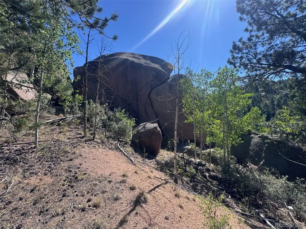 2356 N Mountain Estates Road Florissant CO 80816