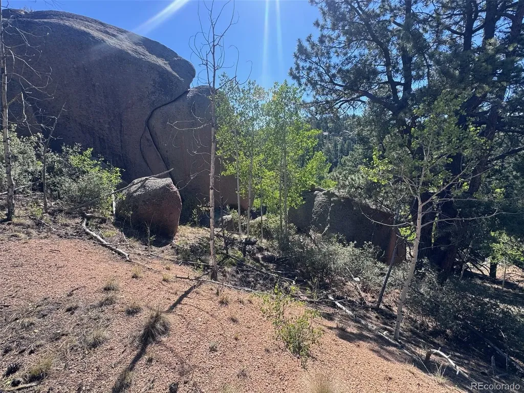 2356 N Mountain Estates Road Florissant CO 80816