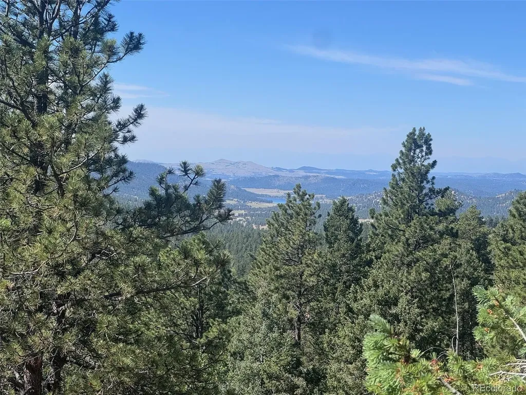 2356 N Mountain Estates Road Florissant CO 80816