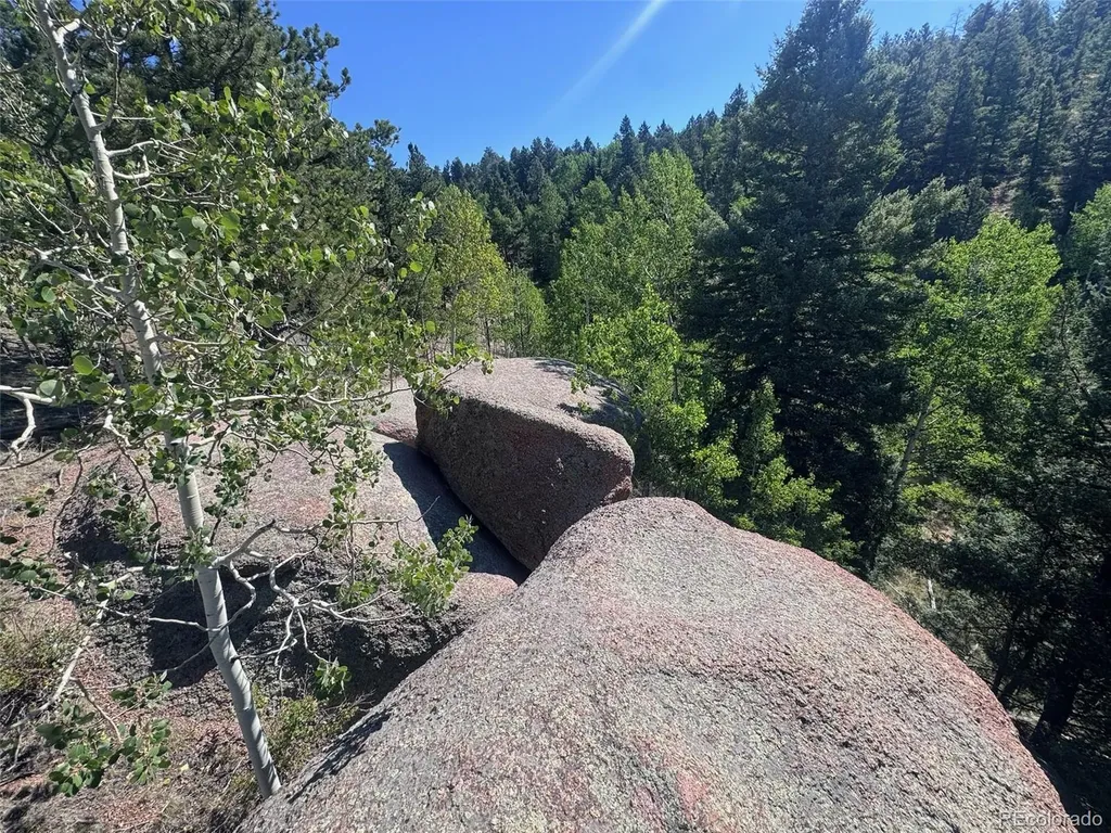2356 N Mountain Estates Road Florissant CO 80816