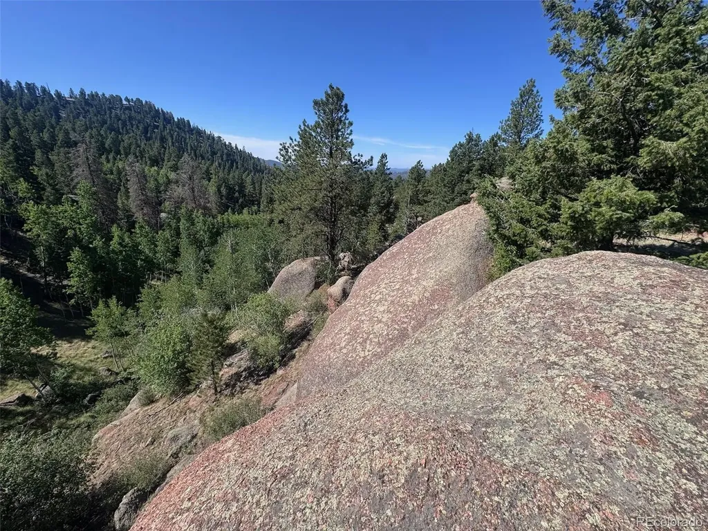 2356 N Mountain Estates Road Florissant CO 80816