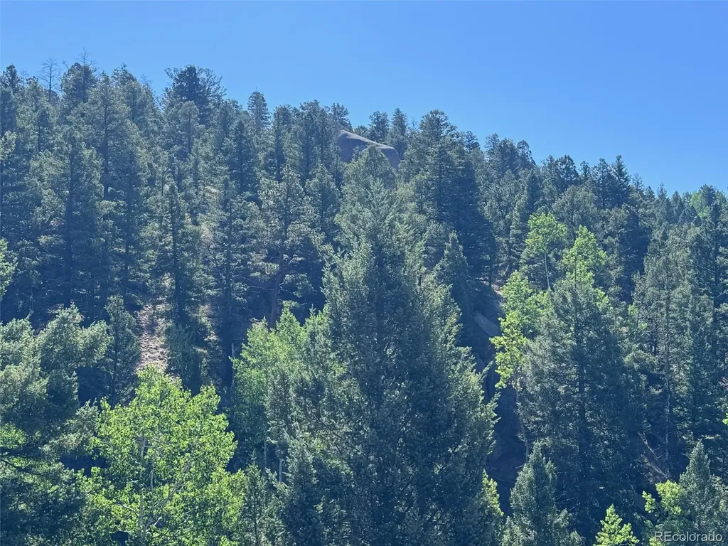 2356 N Mountain Estates Road Florissant CO 80816