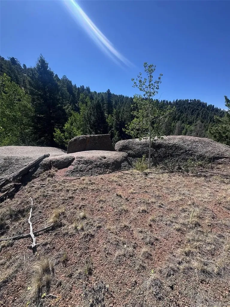 2356 N Mountain Estates Road Florissant CO 80816