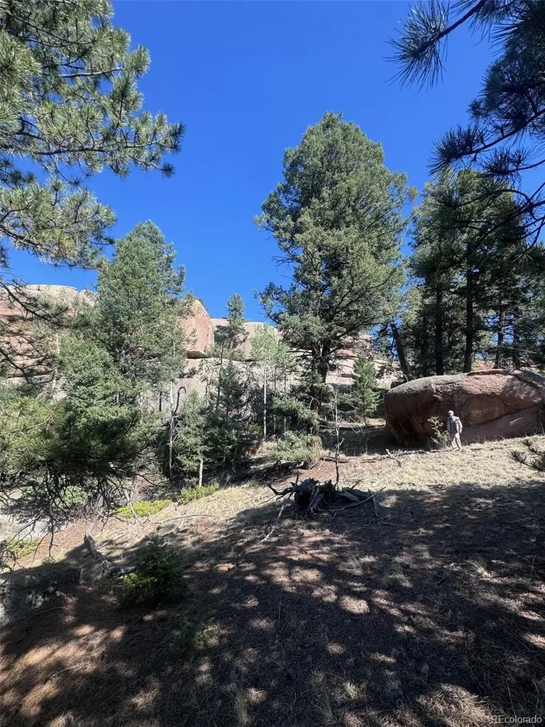 2356 N Mountain Estates Road Florissant CO 80816