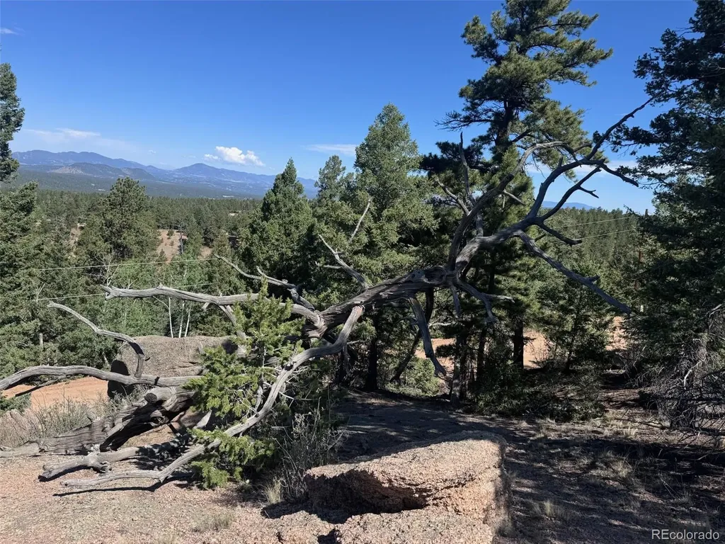 2356 N Mountain Estates Road Florissant CO 80816