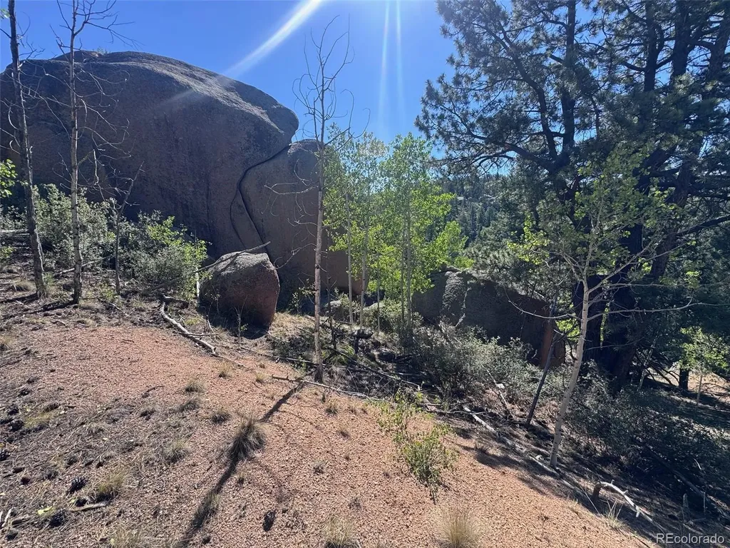 2356 N Mountain Estates Road Florissant CO 80816