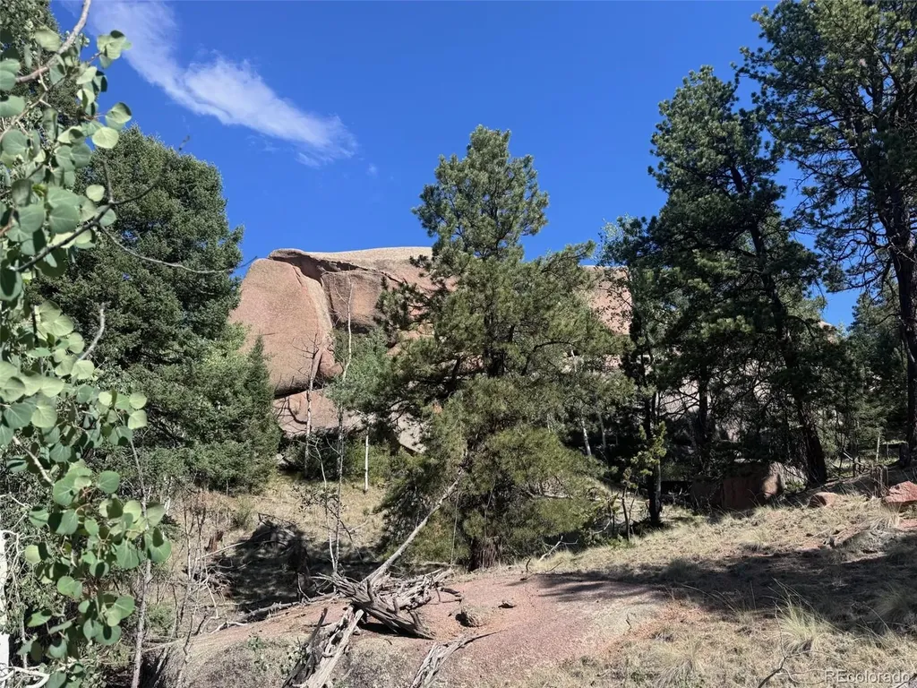 2356 N Mountain Estates Road Florissant CO 80816