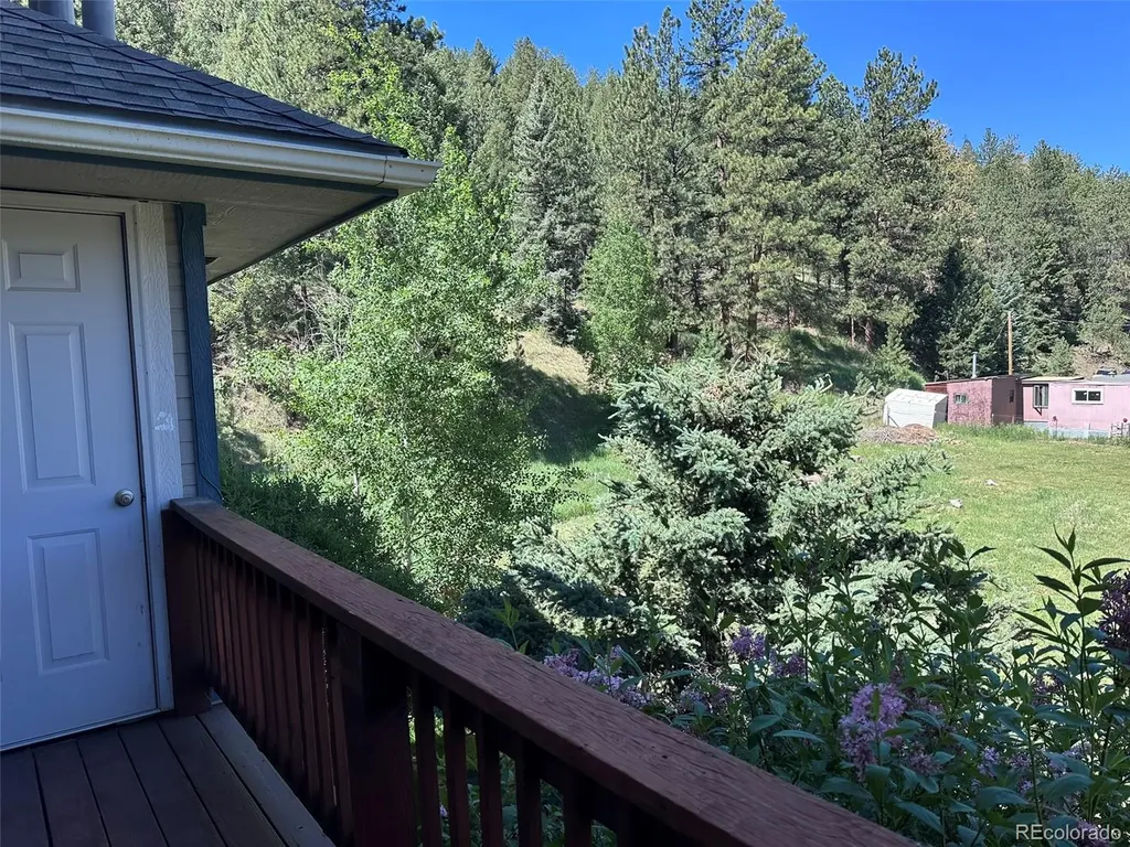 5720 County Road 64 Bailey CO 80421