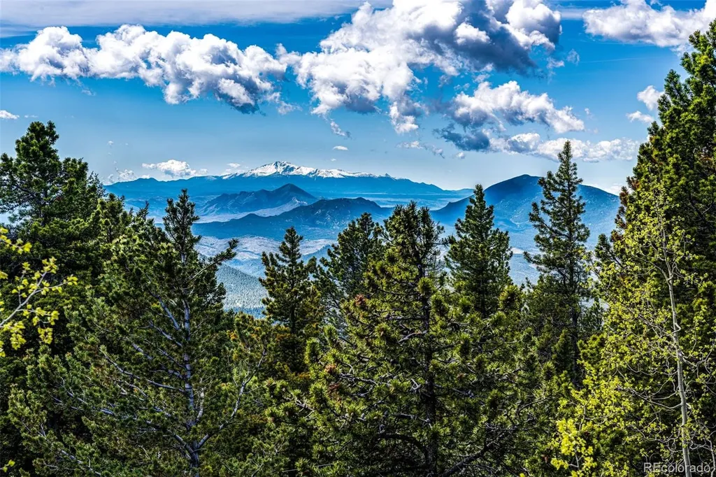 10955 Beas Drive Conifer CO 80433