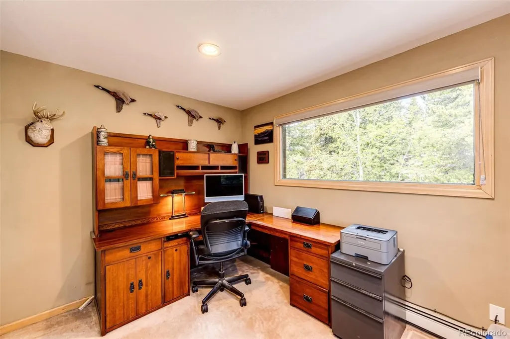 10955 Beas Drive Conifer CO 80433