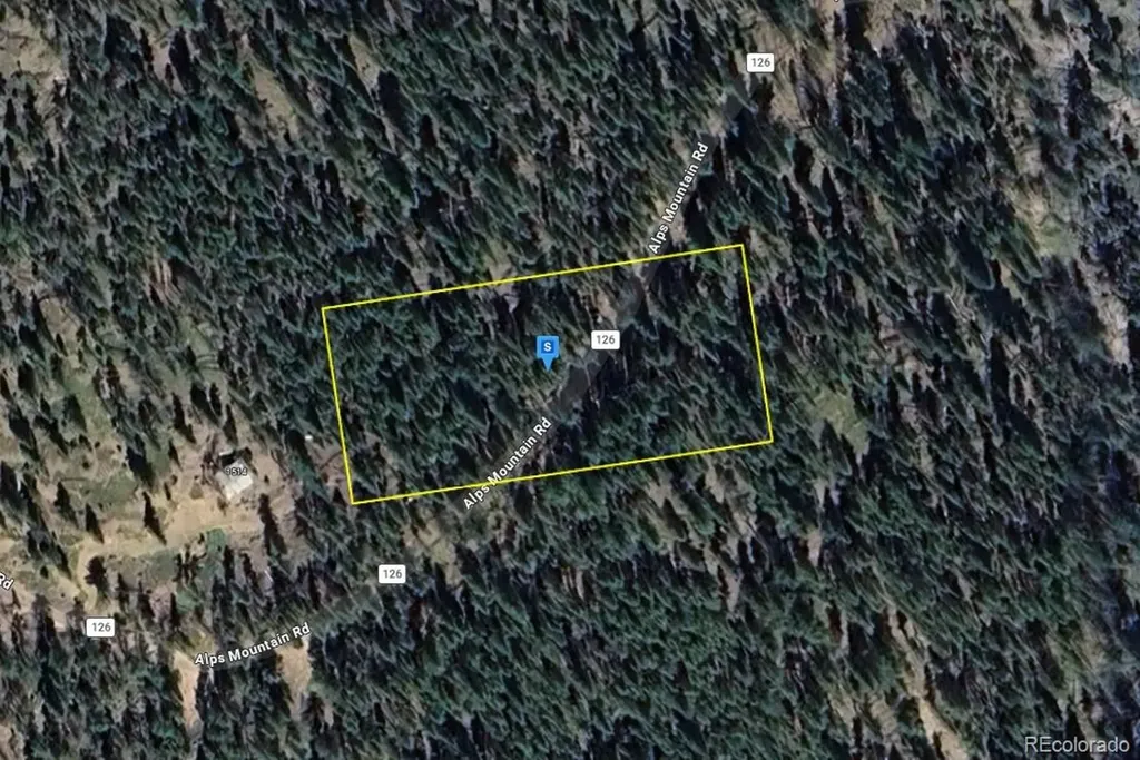 1520 Alps Mountain Road Idaho Springs CO 80452
