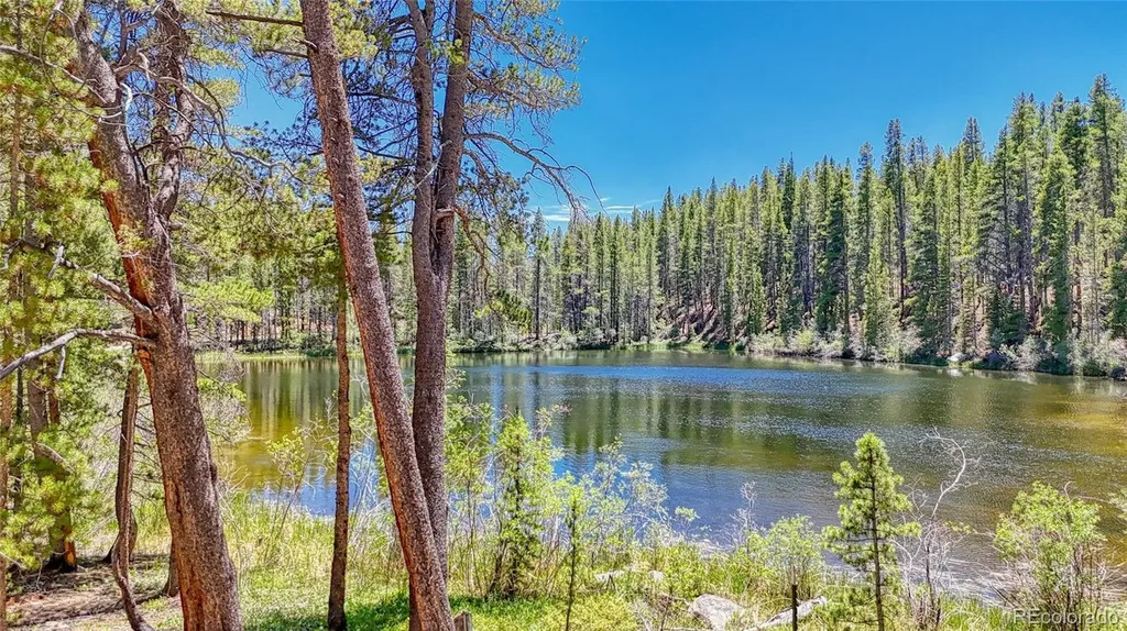 185 Lotus Lon Drive Leadville CO 80461