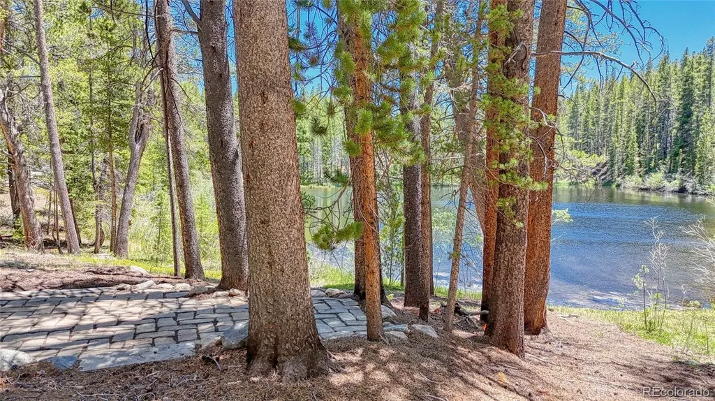 185 Lotus Lon Drive Leadville CO 80461