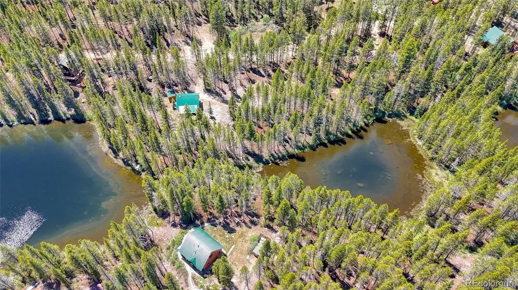 185 Lotus Lon Drive Leadville CO 80461