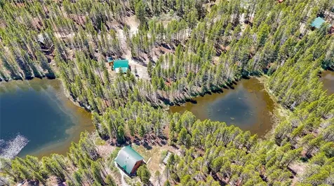 185 Lotus Lon Drive Leadville CO 80461