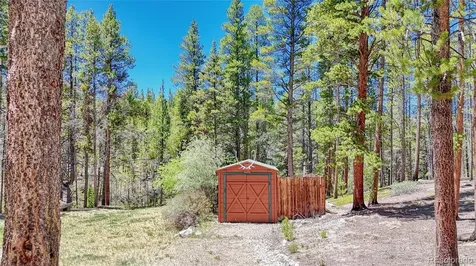185 Lotus Lon Drive Leadville CO 80461