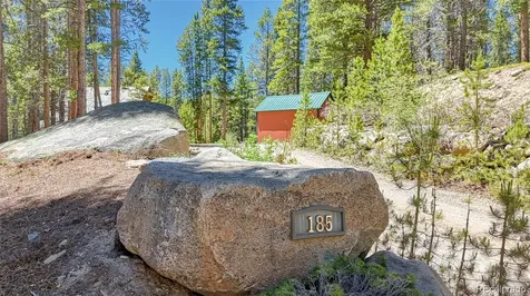 185 Lotus Lon Drive Leadville CO 80461