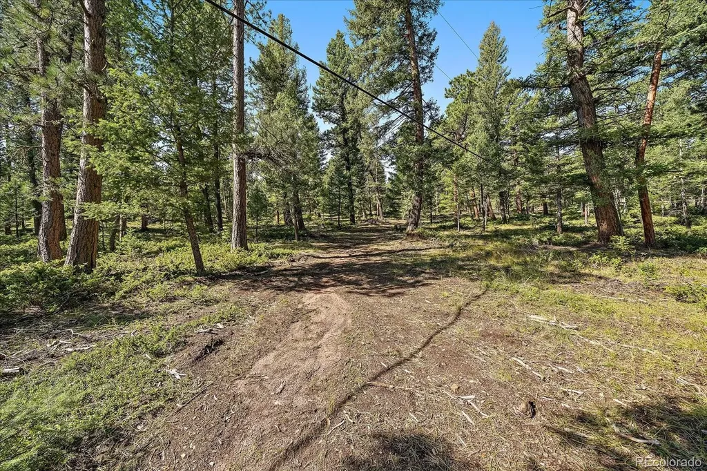 0 Evergreen Drive Conifer CO 80433