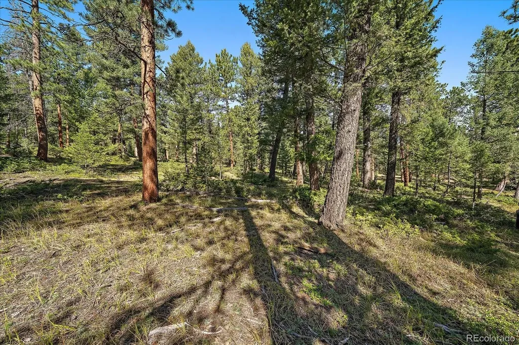 0 Evergreen Drive Conifer CO 80433