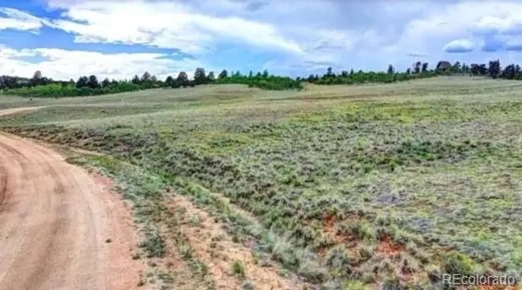 Lot 194 Veery Way Jefferson CO 80456