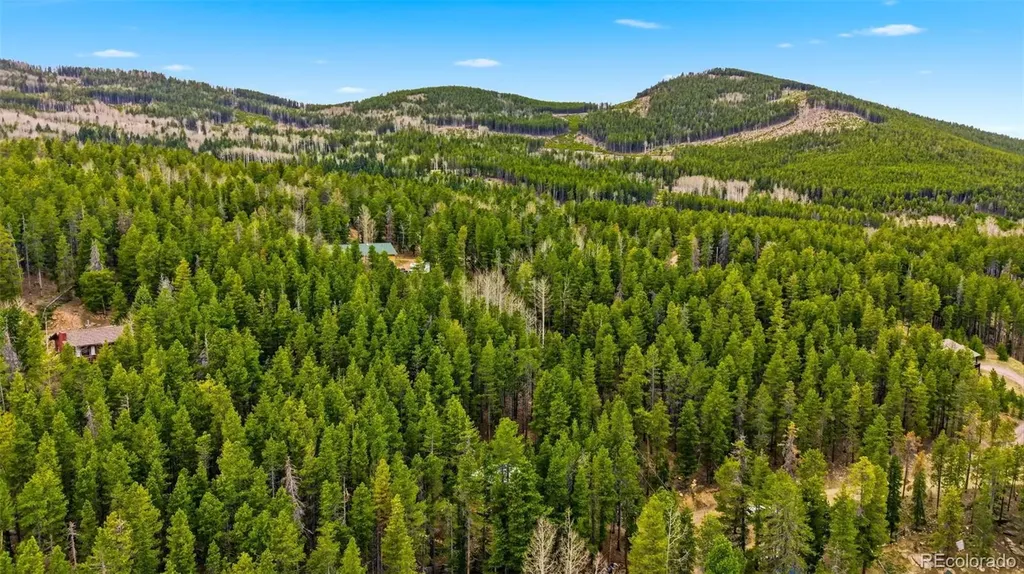 154 Apache Road Evergreen CO 80439