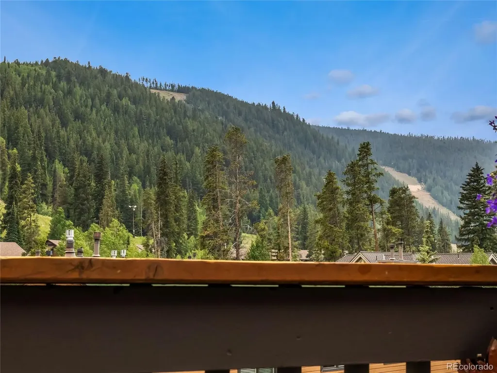 1493 E Keystone Road Dillon CO 80435