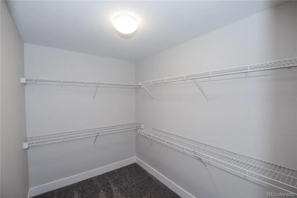 3036 White Oak Lane Littleton CO 80129