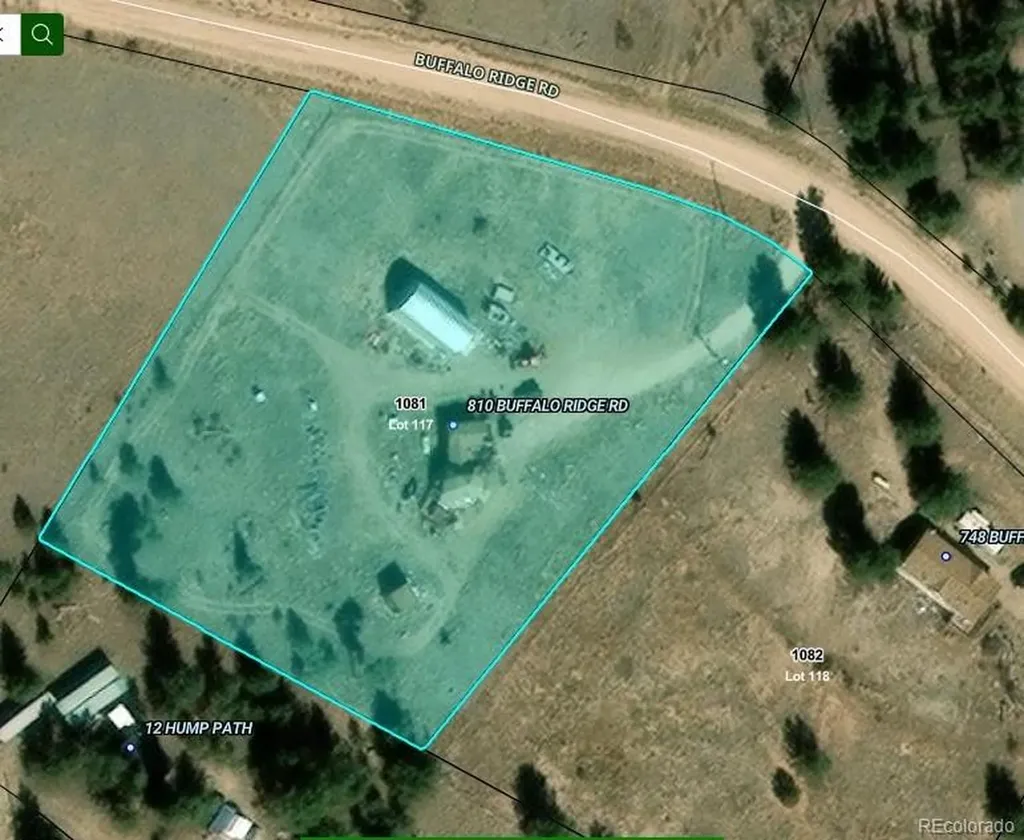 810 Buffalo Ridge Road Como CO 80432