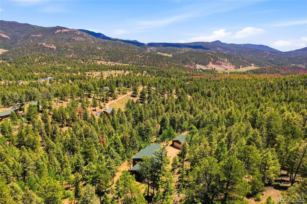 33888 Bardwell Road Pine CO 80470