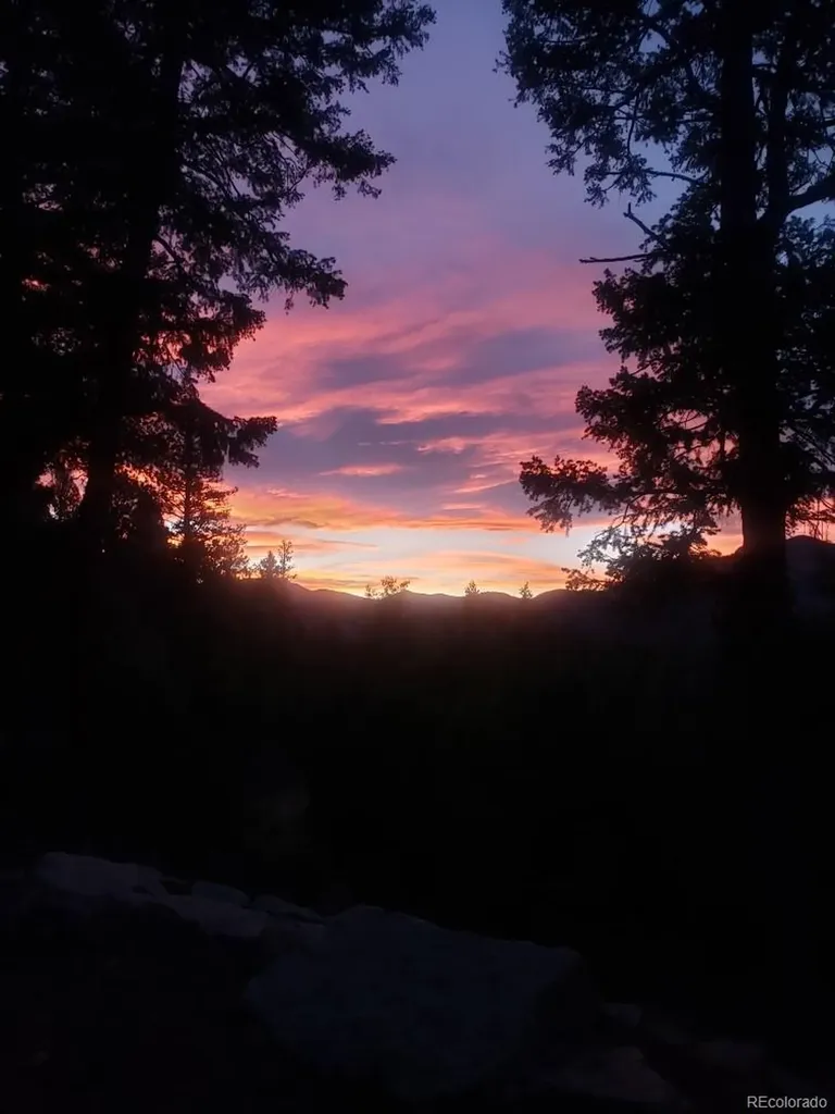 33888 Bardwell Road Pine CO 80470