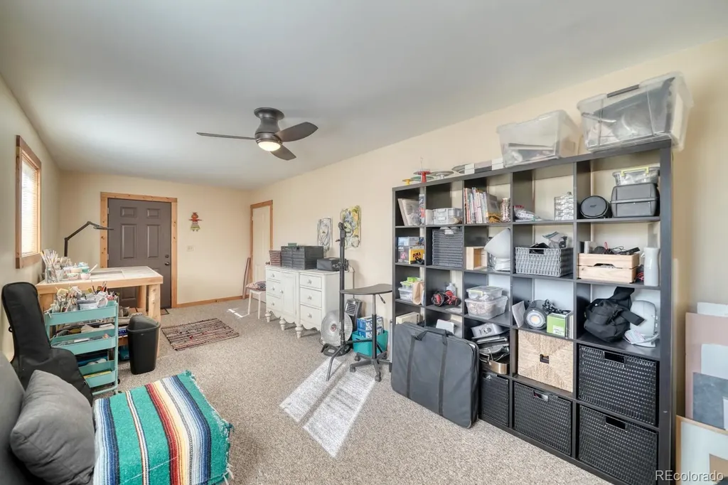 13288 County Road 261p Nathrop CO 81236