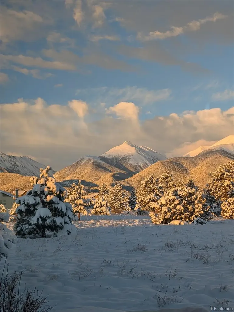 13288 County Road 261p Nathrop CO 81236