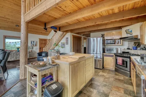 13288 County Road 261p Nathrop CO 81236