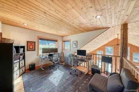 13288 County Road 261p Nathrop CO 81236