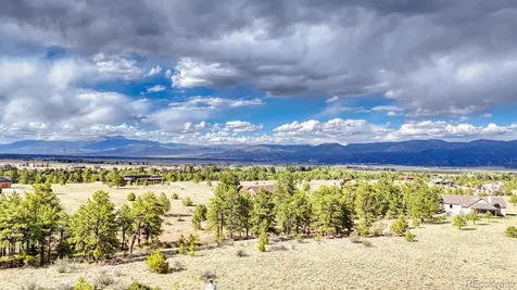 13288 County Road 261p Nathrop CO 81236